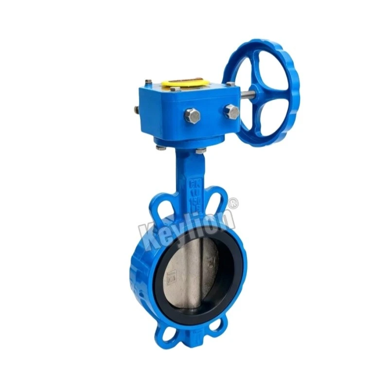 Butterfly Valve 4 Inch